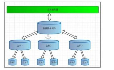 深入解析数据库集群读写分离 开发与管理的核心实践