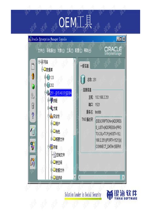 Oracle数据库管理与开发 构建企业数据核心的基石