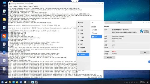 Linux x86/ARM 麒麟V10安装DBeaver 21.3通用数据库管理工具与SQL客户端指南